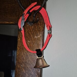 FLUORESCENT ORANGE Dog Collar with Bell